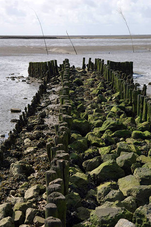 cuxhaven tudják)