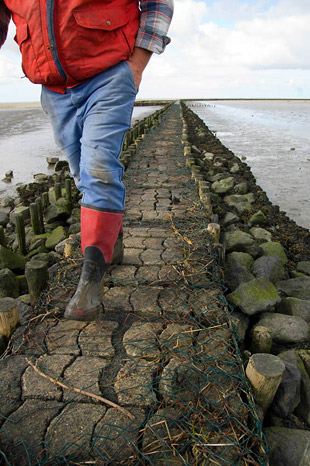 cuxhaven tudják)