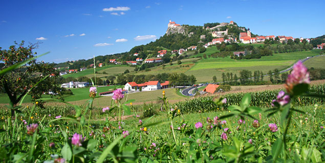 A lucernamező kis lila virágai gyönyörködnek a kilátásban.