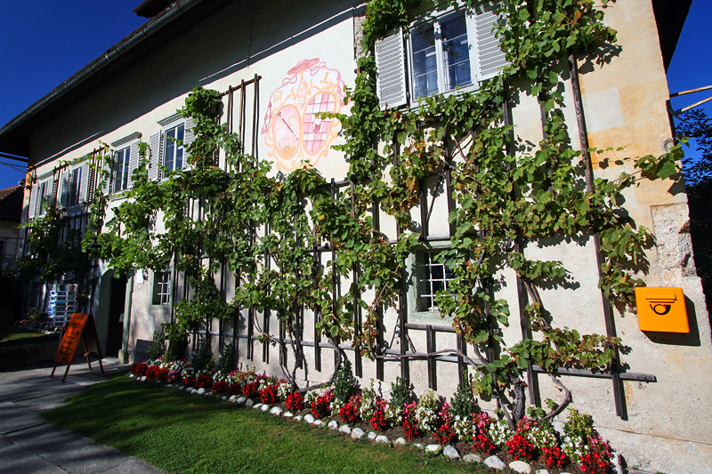 2006-09-10-bled_03