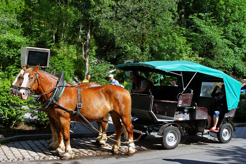 hohenschwangau_2012_04