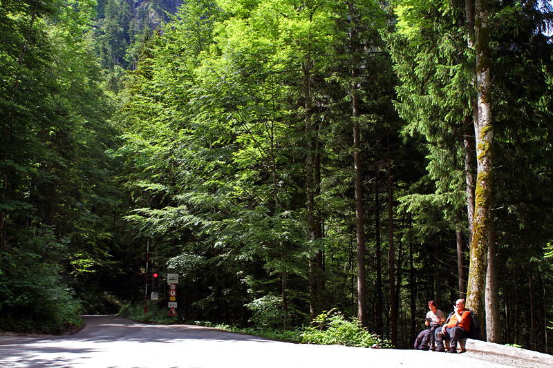 hohenschwangau_2012_17