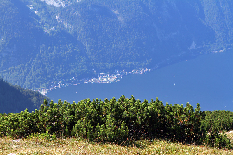 2011-08-25-dachstein_06