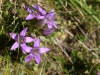 2011-08-25-dachstein_08