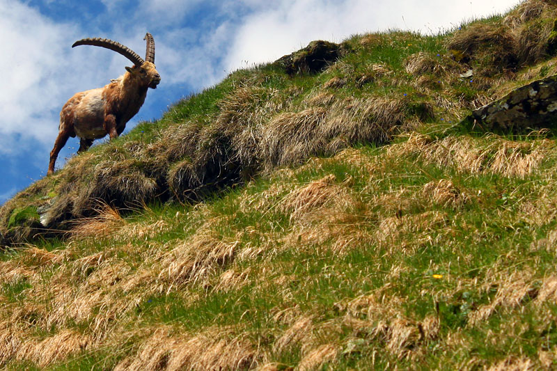 2012-06-16-grossglockner-14